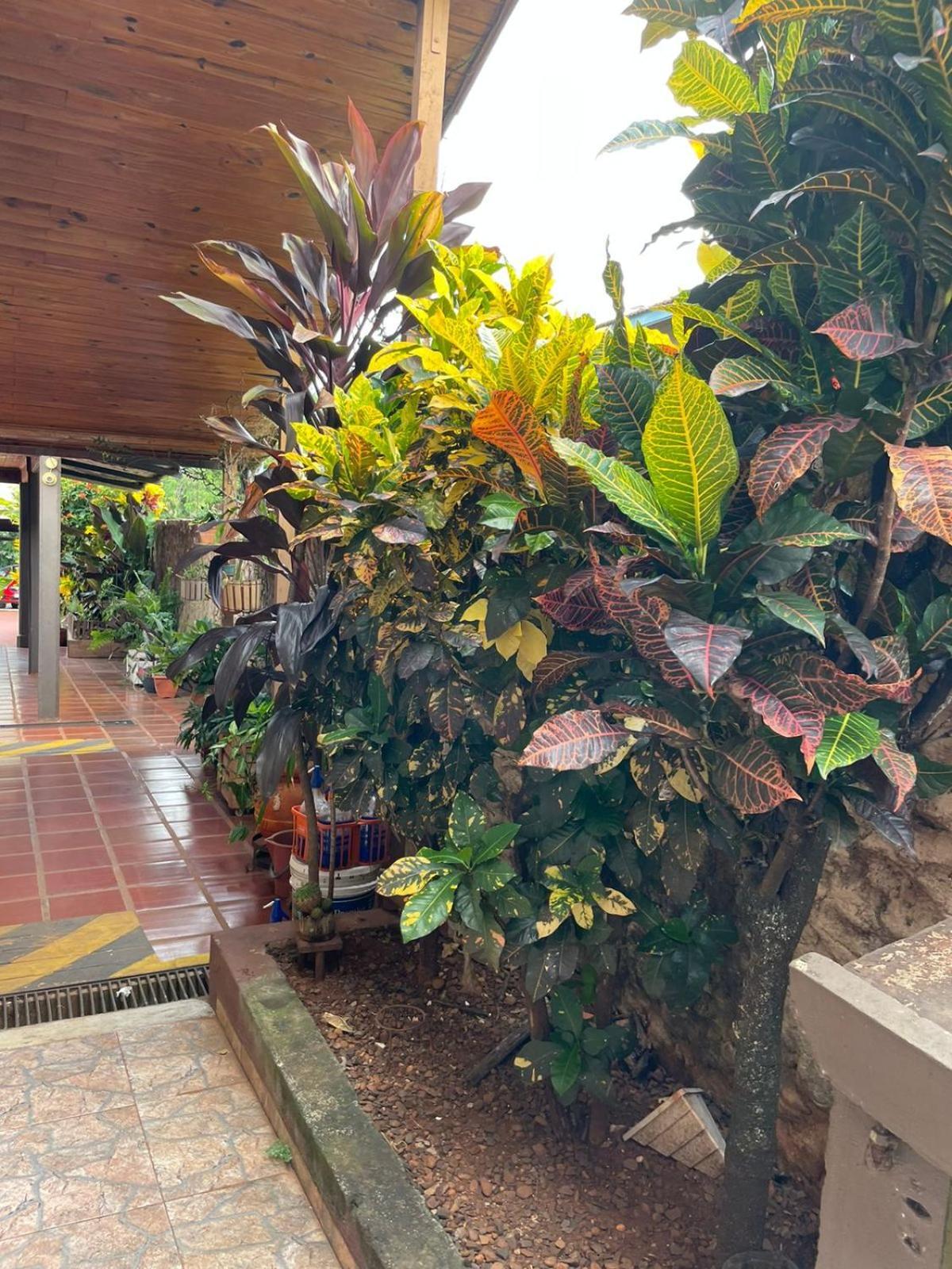 Residencial Arcoiris Hotel Puerto Iguazú Exterior foto